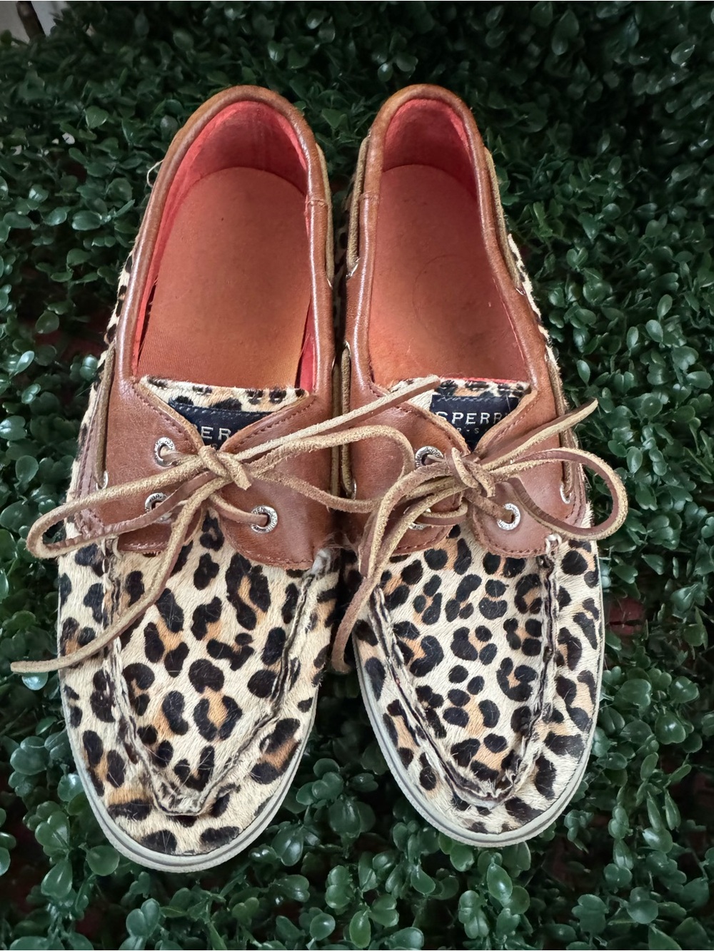 Sperry Women's Leopard Print Boat Shoes with Brown Trim